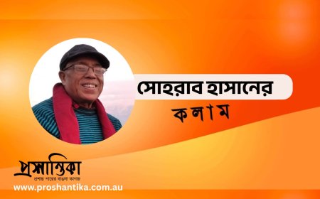 অন্তর্বর্তী সরকারের মেয়াদ কতদিন হওয়া উচিত । সোহরাব হাসান